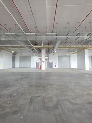 Ct Foodnex (D25), Factory #487060561